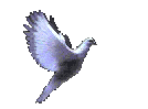 Flying Dove